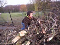 Die omgewaaide bomen bieden ongekende klimkansen